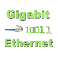 Get a Gigabit Ethernet port and scalable Ethernet bandwidth